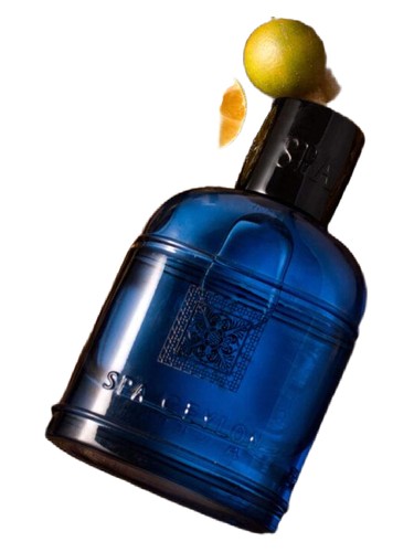 Forest Tribe Ceylon Elephant bottle