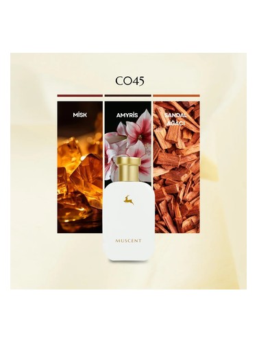 C045 bottle