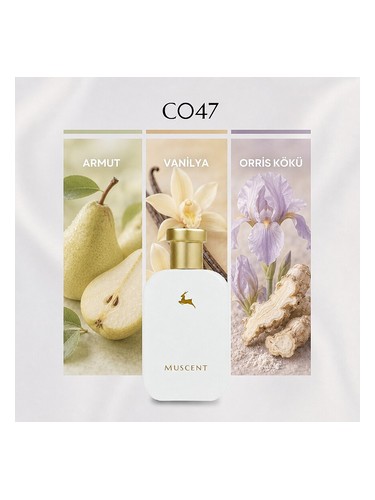 C047 bottle