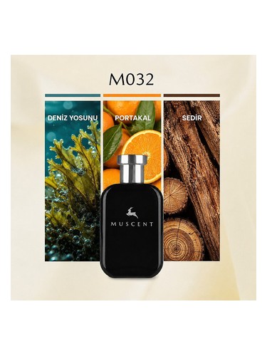 M032 bottle