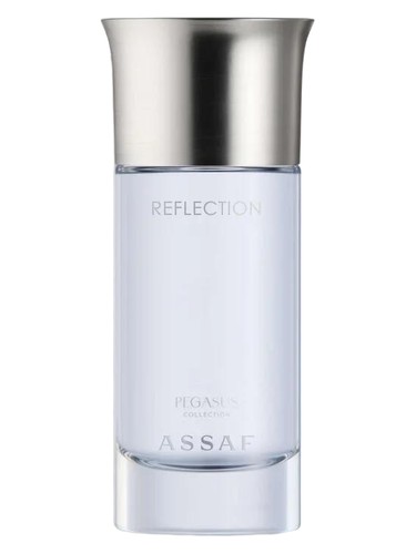 Reflection bottle