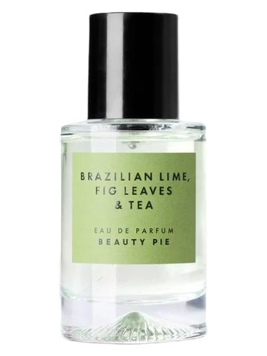 Brazilian Lime, Fig Leaves and Tea bottle