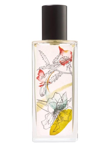 Songe de Tagete bottle