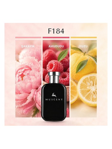 F184 bottle