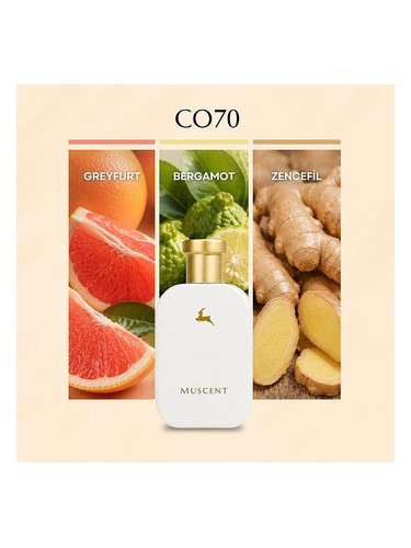 C070 bottle
