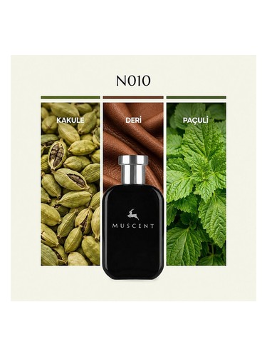 N010 bottle