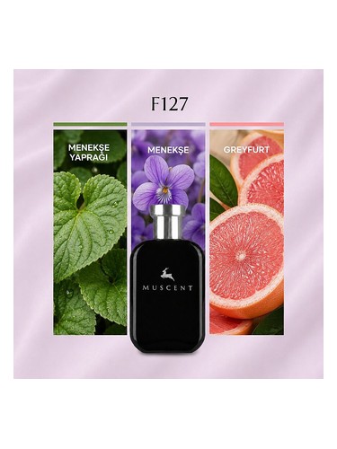 F127 bottle