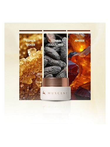Vanilla Fairy Solid Perfume bottle