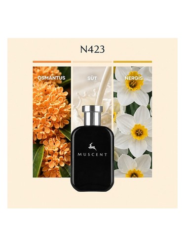 N423 bottle