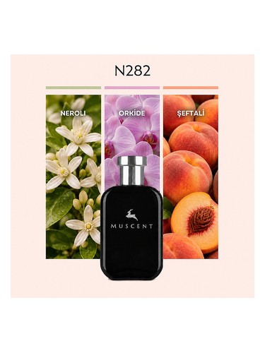 N282 bottle