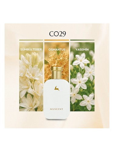 C029 bottle