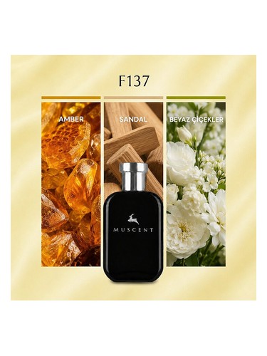 F137 bottle