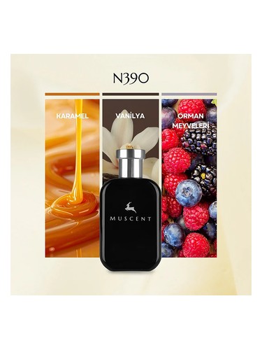 N390 bottle