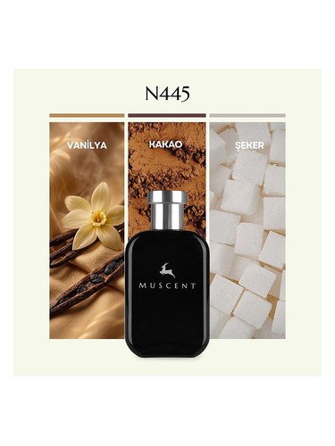 N445 bottle
