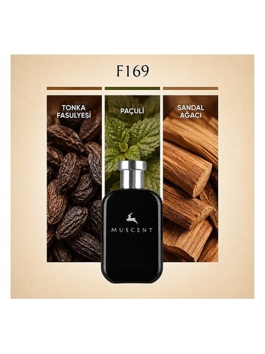 F169 bottle