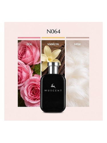 N064 bottle