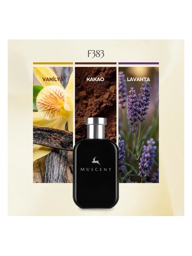 F383 bottle