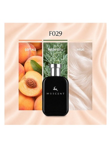 F029 bottle
