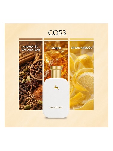 C053 bottle