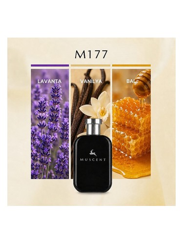 M177 bottle