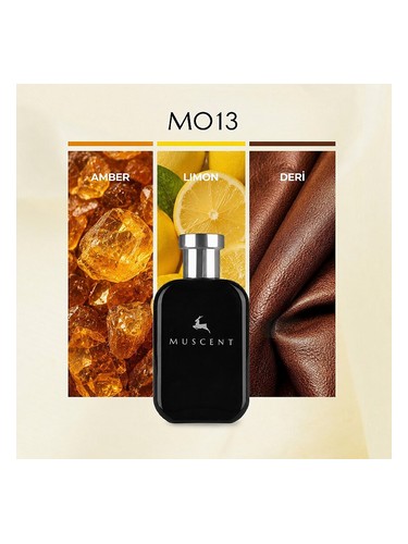 M013 bottle