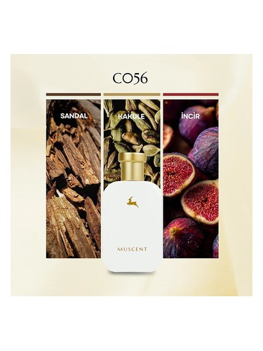 C056 bottle