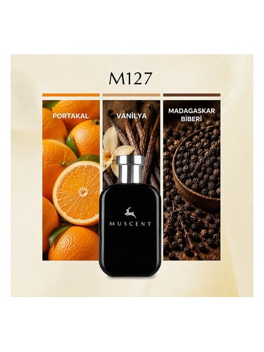 M127 bottle