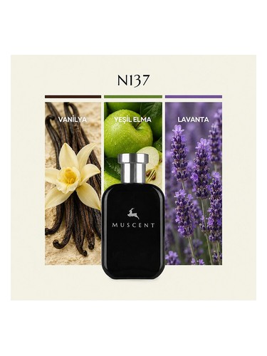 N137 bottle