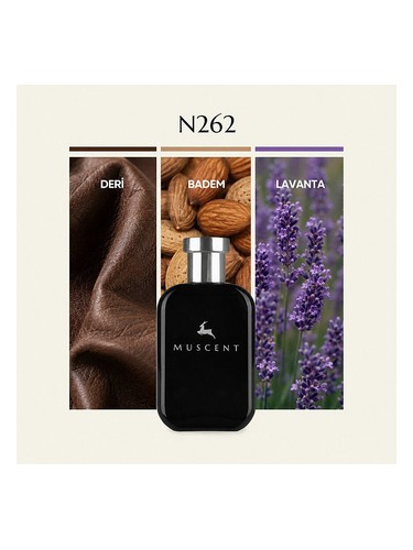 N262 bottle