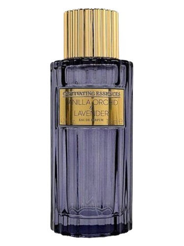 Vanilla Orchid & Lavender bottle