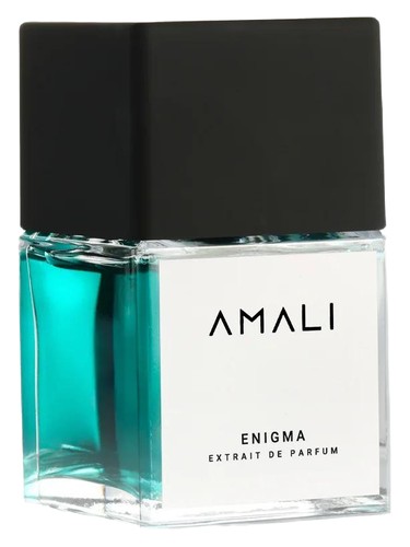 Enigma bottle
