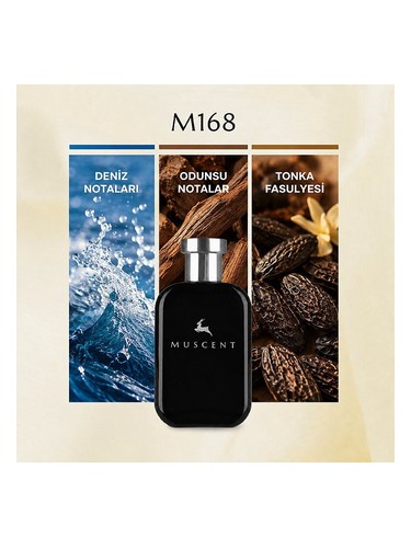 M168 bottle