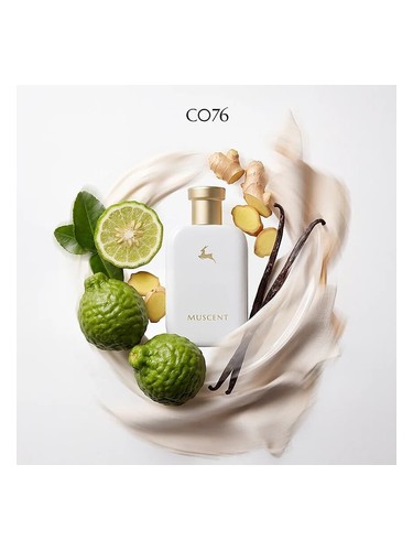C076 bottle