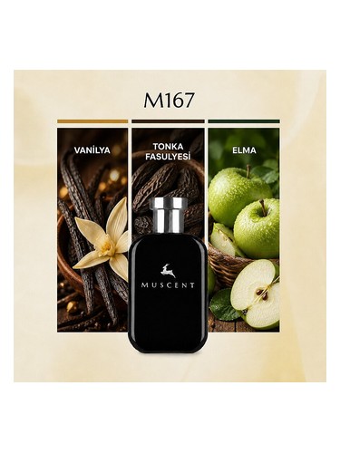 M167 bottle