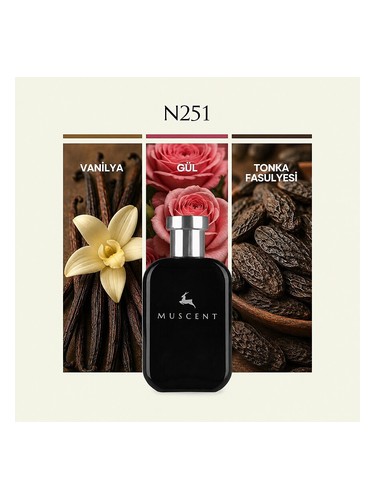 N251 bottle