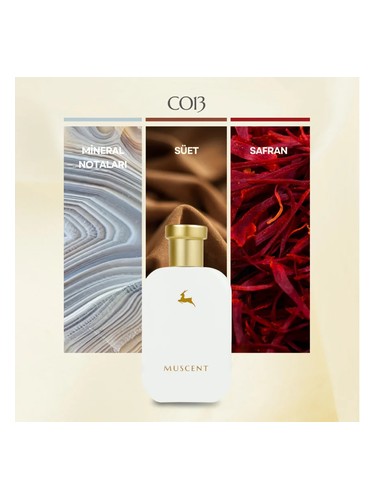 C013 bottle
