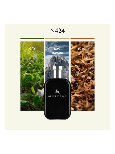 N424 bottle