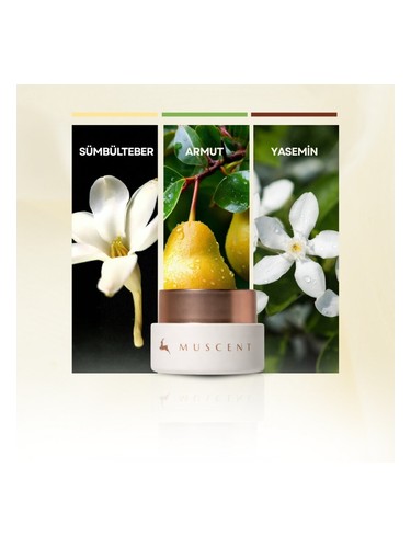 Sweet Flower Solid Perfume bottle