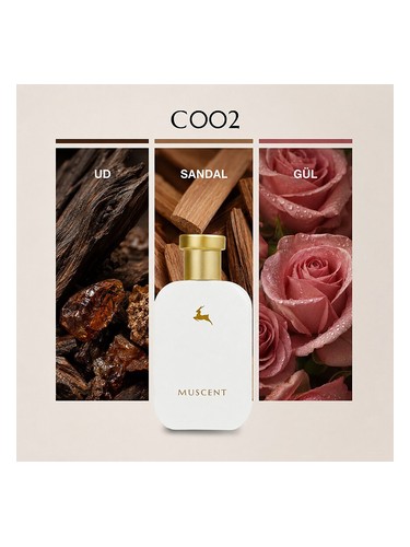 C002 bottle