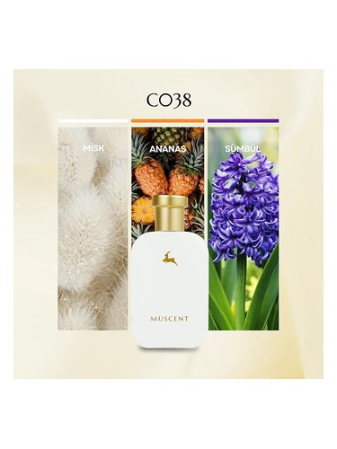 C038 bottle