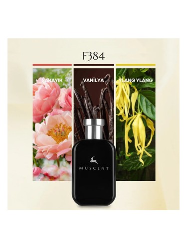 F384 bottle
