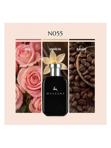 N055 bottle