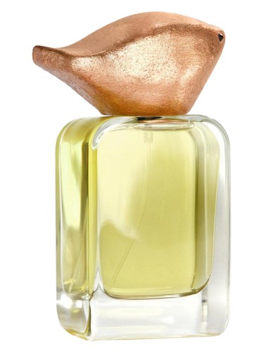 Re-Evolution bottle