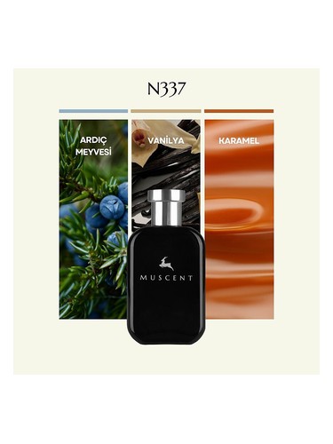 N337 bottle