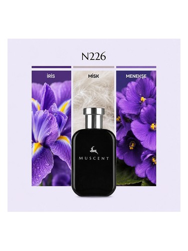 N226 bottle