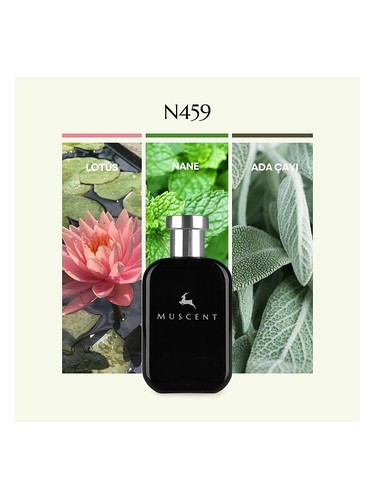 N459 bottle