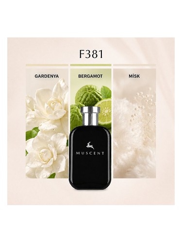 F381 bottle