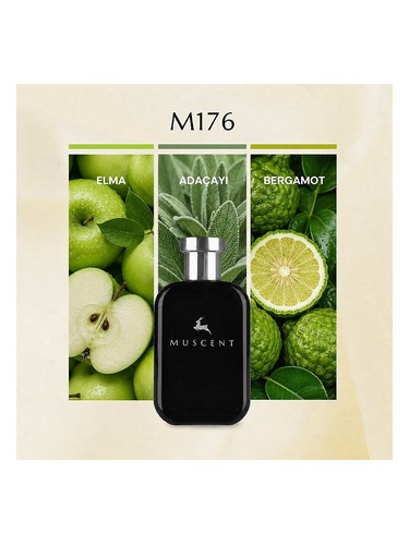 M176 bottle