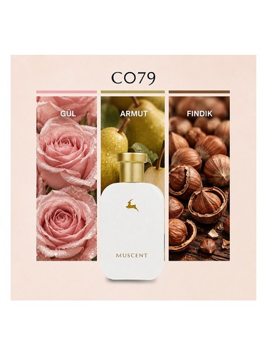 C079 bottle