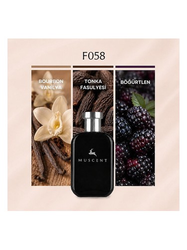 F058 bottle